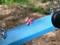 DSC_2897.JPG